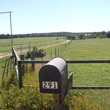 Horsefly Farm pasture